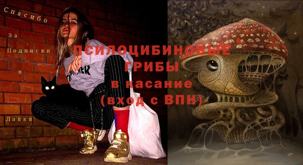 соль ск Липки