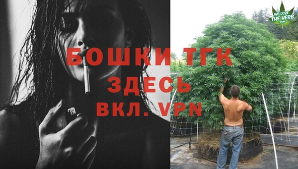 хмурый Лиски