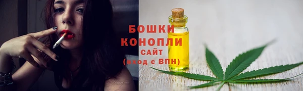 хмурый Лиски
