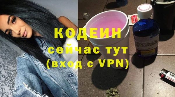 хмурый Лиски