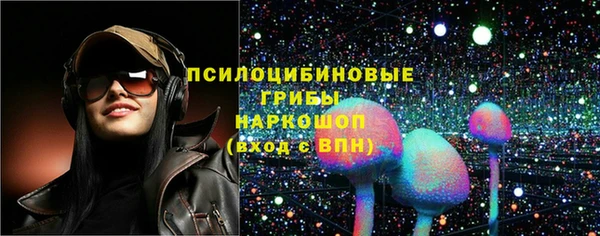 соль ск Липки