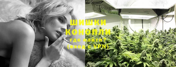 хмурый Лиски