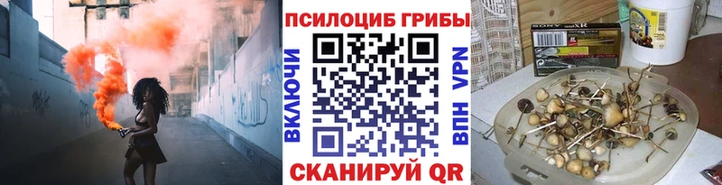 где можно купить   Алатырь  Псилоцибиновые грибы мицелий 