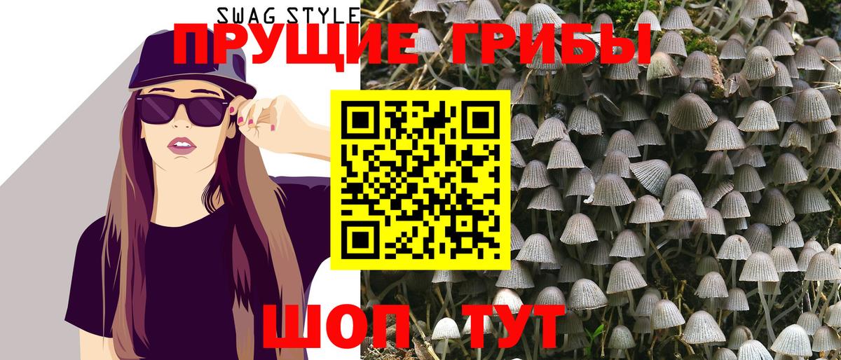 Галлюциногенные грибы GOLDEN TEACHER  Псилоцибиновые грибы MAGIC MUSHROOMS  Алатырь  что такое наркотик  Вход с VPN 