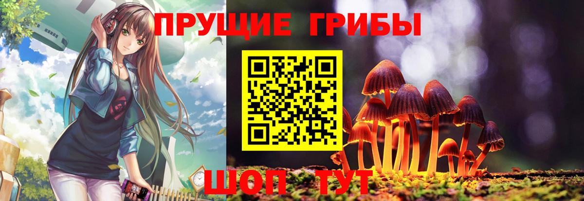 Псилоцибиновые грибы Magic Shrooms Алатырь