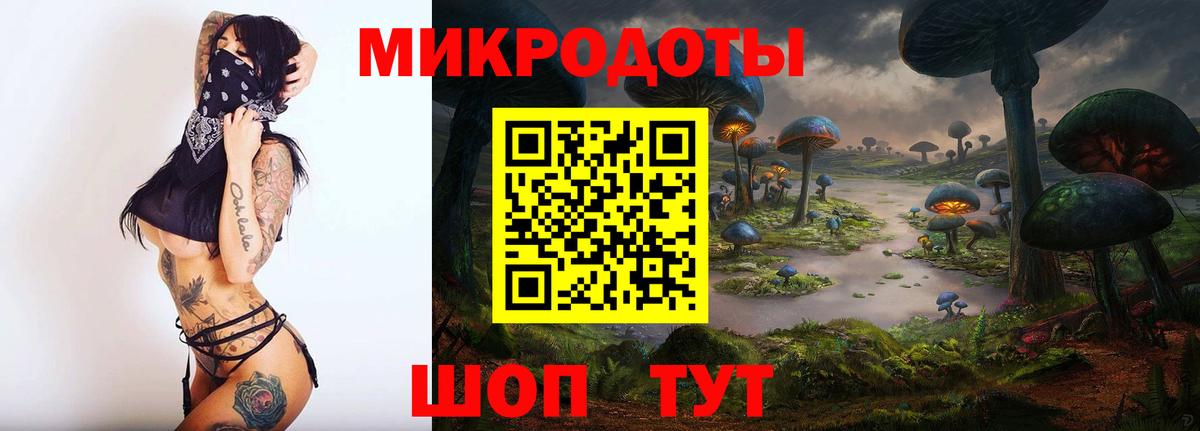 Алатырь  Псилоцибиновые грибы Cubensis  Вход с VPN  Галлюциногенные грибы Cubensis 